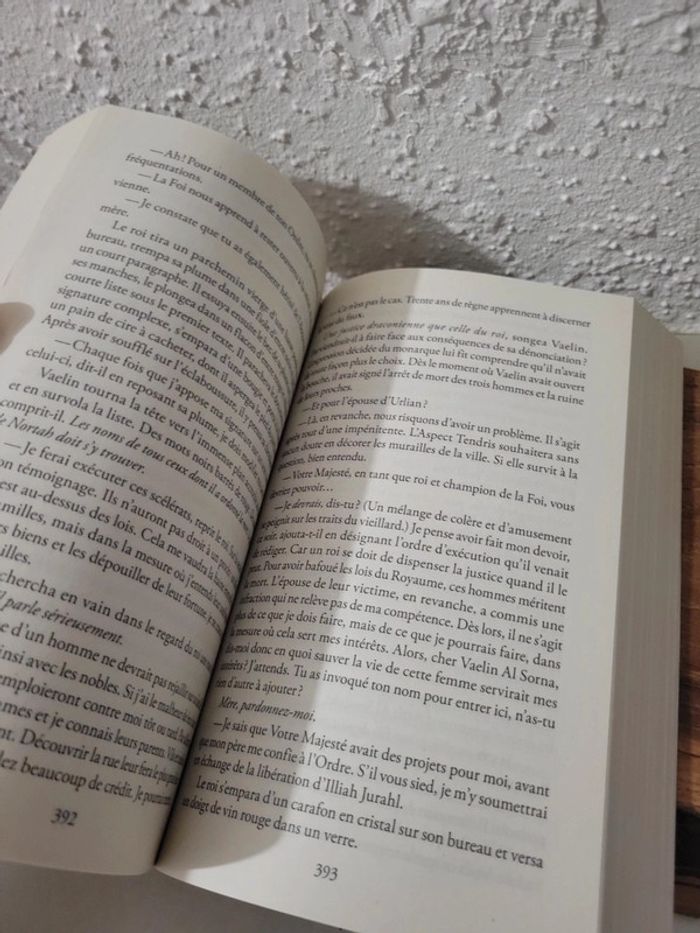 Livre "Blood Song" de Anthony Ryan - photo numéro 5