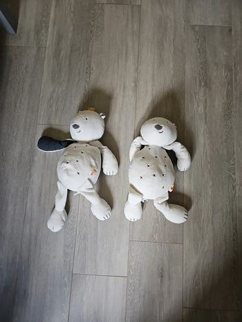 Lot de 2 peluche noukies