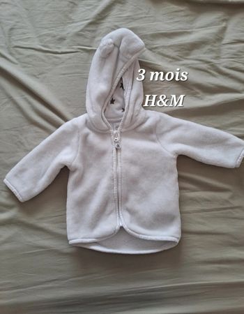 Veste zippée capuche 