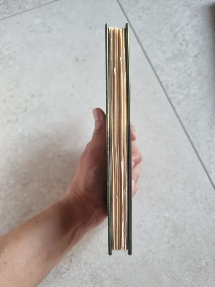 Au-dela du monde de Spiderwick - tome 1 Le chant de la Naïade (01) - photo numéro 3