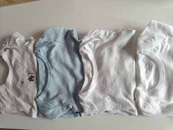 Lot bodies