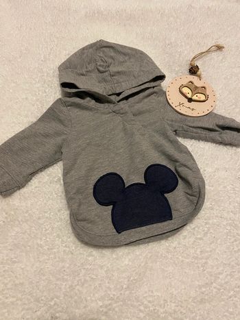 Pulls Mickey