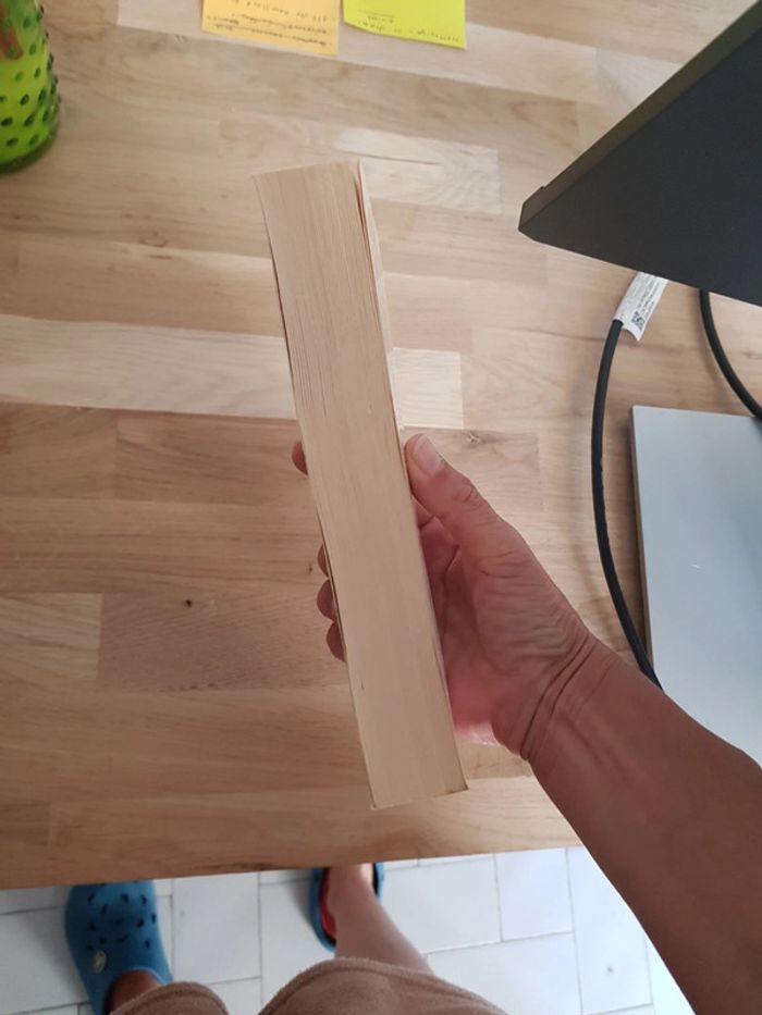 Dans la peau - Nicci French - photo numéro 3