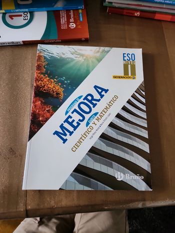 Livre : Programa de Mejora