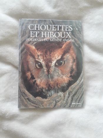 Chouettes et hiboux