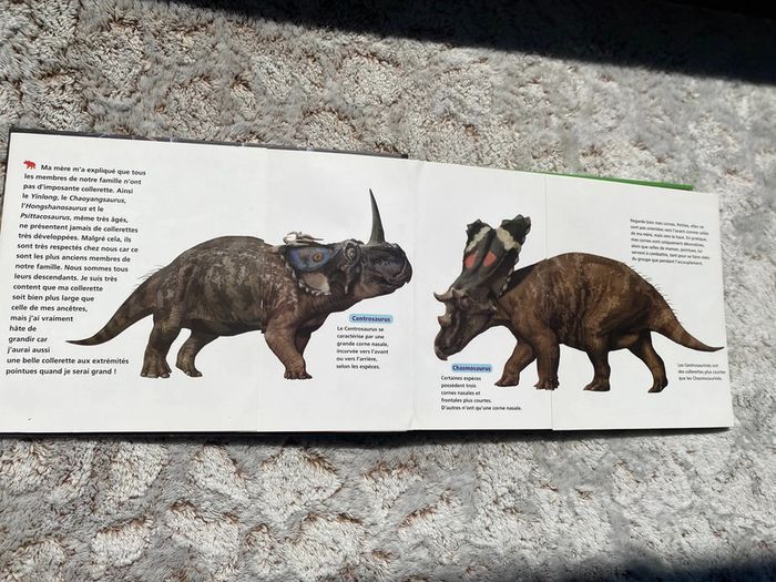 Livre pop up je suis un tricératops - photo numéro 3
