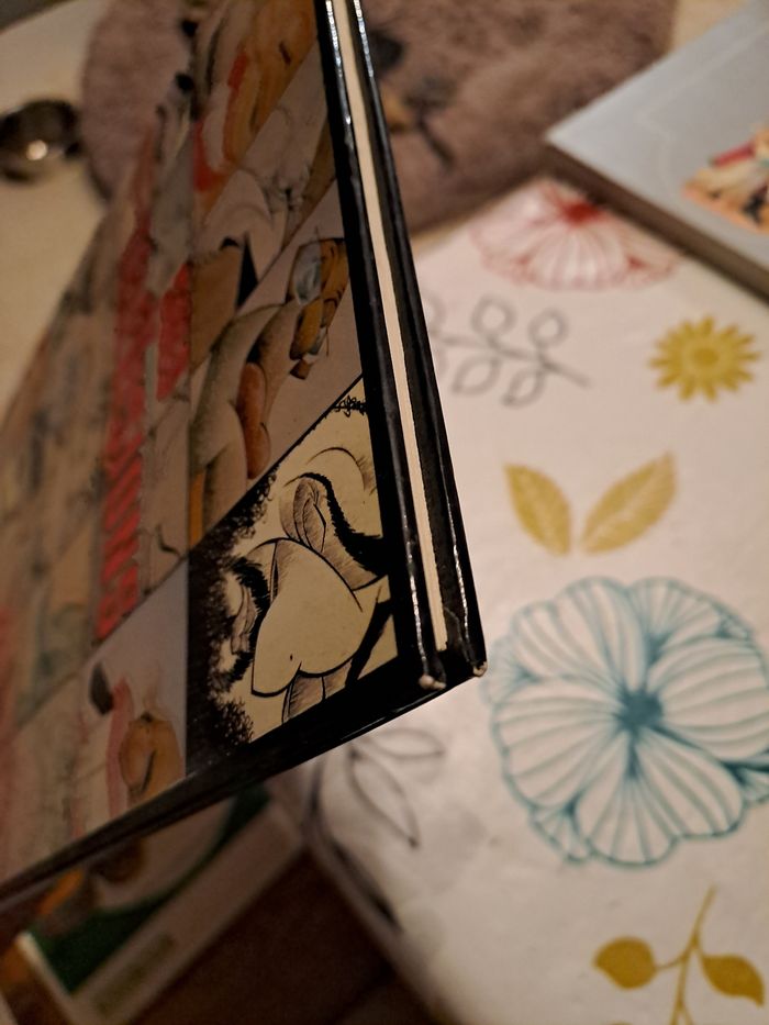 Solo Télévisions - photo numéro 5