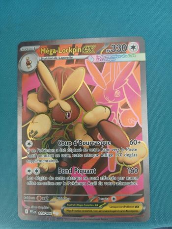 Flammes fantasmagoriques mega looping 115/94