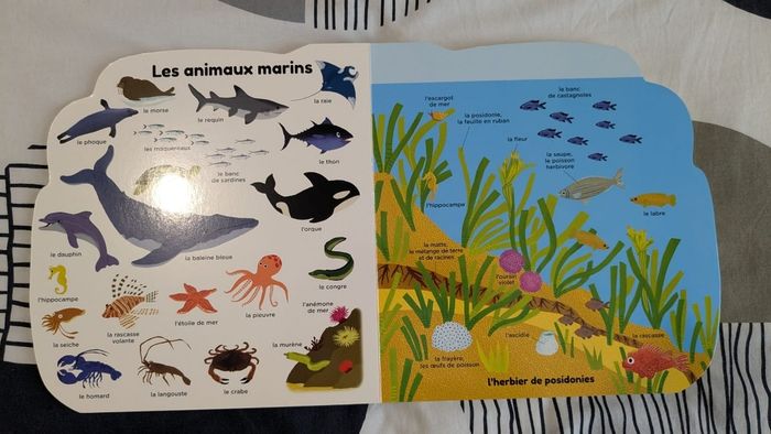 Livre la mer - photo numéro 3
