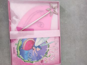 Ensemble fée livre et déguisement 