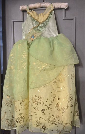 Magnifique déguisement Tiana 7/8 ans