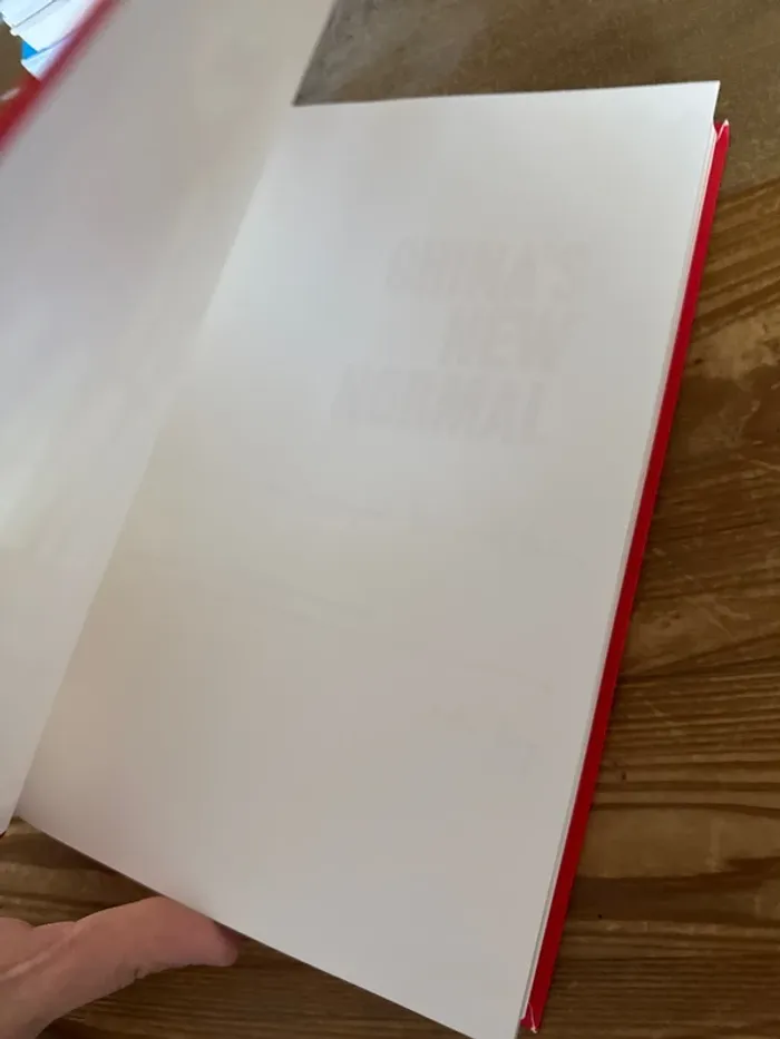 Livre china ´ s new normal - photo numéro 4