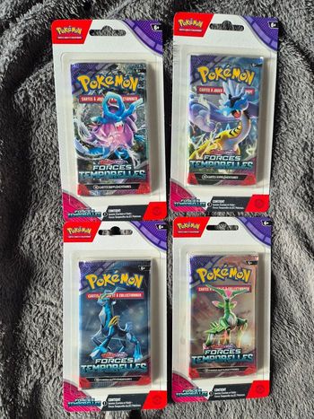 Artset forces temporelles ev05 fr scellé