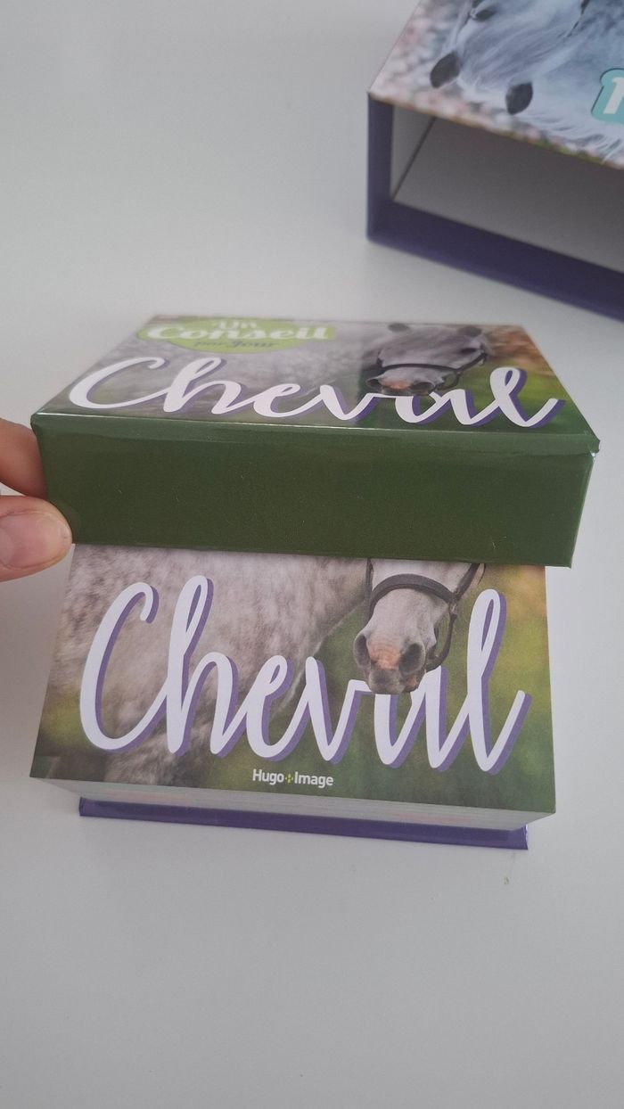 Livre un jour un conseil cheval - photo numéro 3