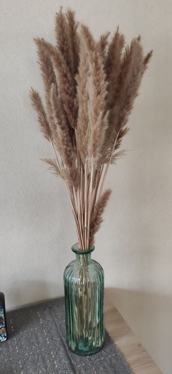 Vase avec pampas 