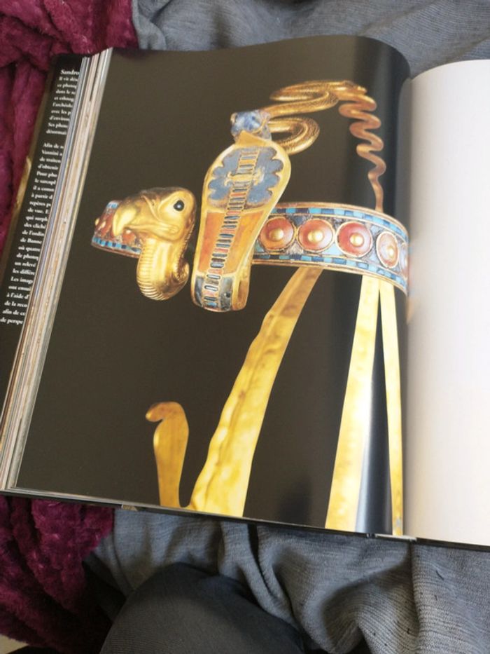 Très beau livre hommage à l'Égypte de Sandro vannini - photo numéro 11