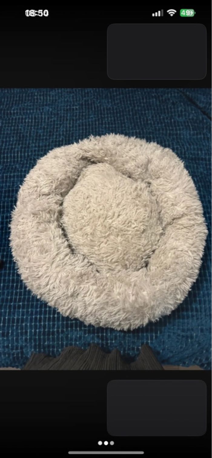 Panier doux pour chat - photo numéro 2