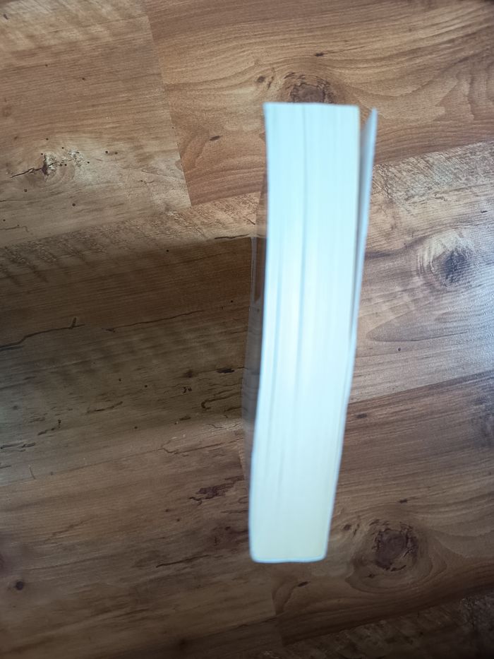 Roman policier thriller, Un rossignol sans jardin, Ruth Rendell, NEUF - photo numéro 4