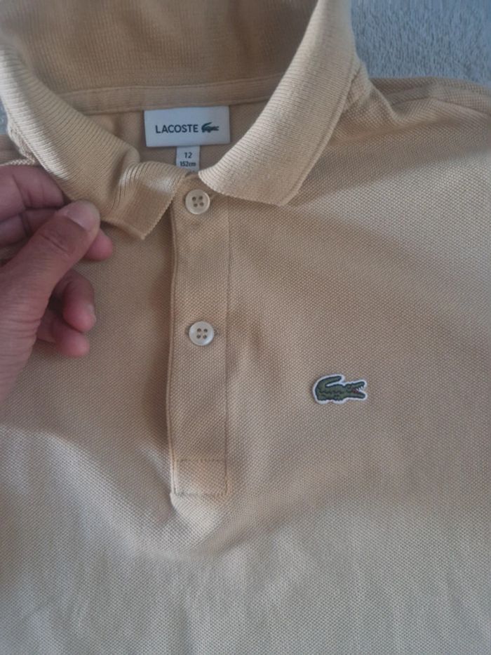 Lot 5 polos garçon 12ans Lacoste - photo numéro 13
