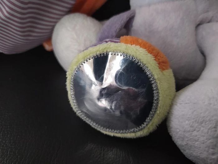 Peluche d'activité Noukie - photo numéro 4