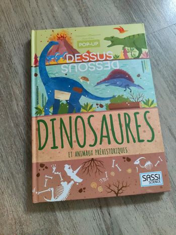 Livres dinosaures illustrés