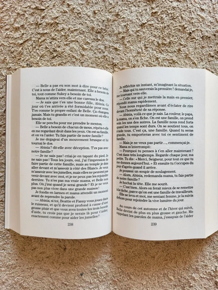 Livre "La colline aux esclaves" de Kathleen Grissom - photo numéro 6