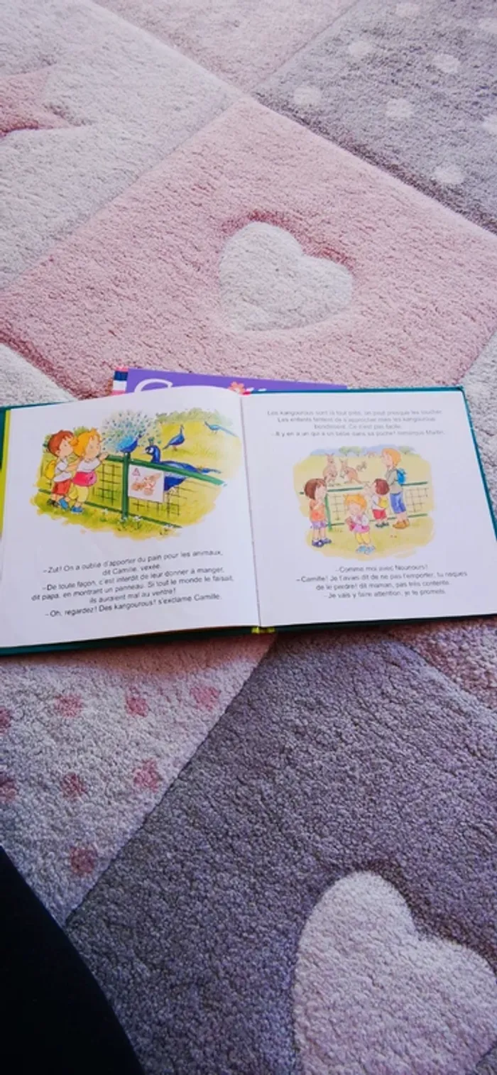 Livres Camille - photo numéro 4