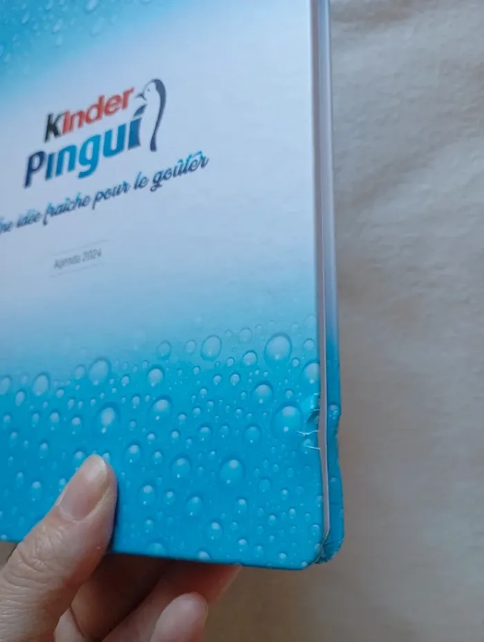 Agenda 2024 Kinder Pingui - photo numéro 4