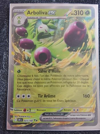 Carte de Pokémon français 