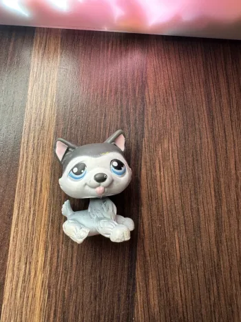 Petshop husky