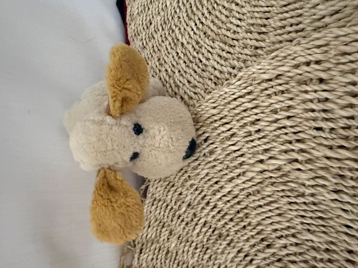 Petit Doudou chien beige CP - photo numéro 2