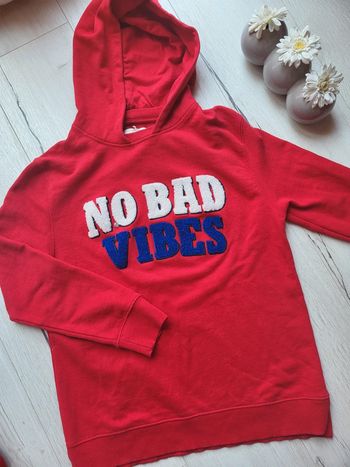 Sweat à capuche garçon 12ans Zara neuf