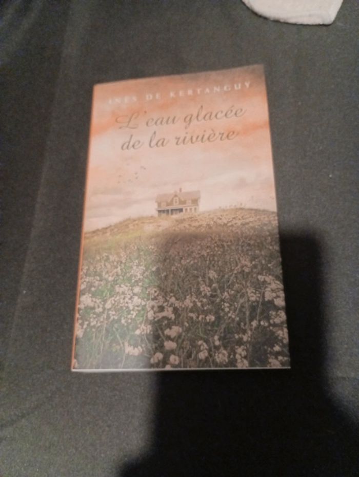 Livre de Inès de kertanguy l eau glacee de la riviere