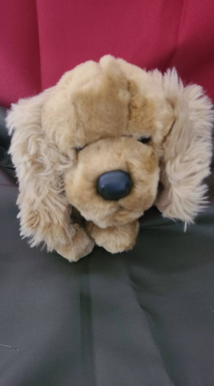 peluche cocker CMP