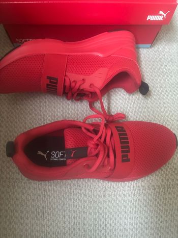 Chaussure enfant  puma