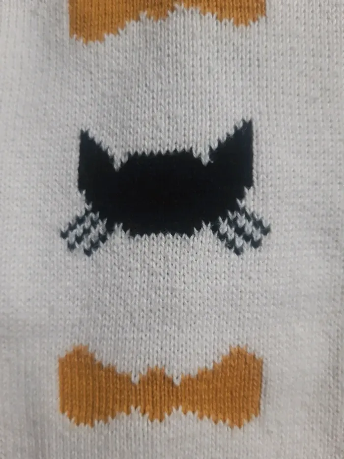 Gilet chat - photo numéro 10