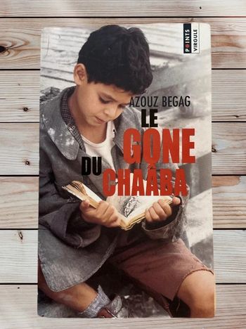 Livre le gone de chaaba