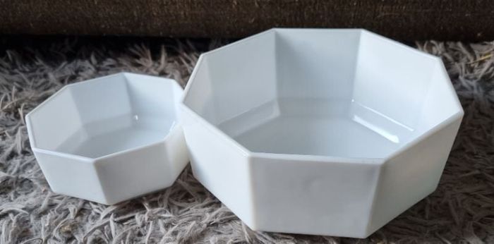 Lot 2 plats blanc Arcopal