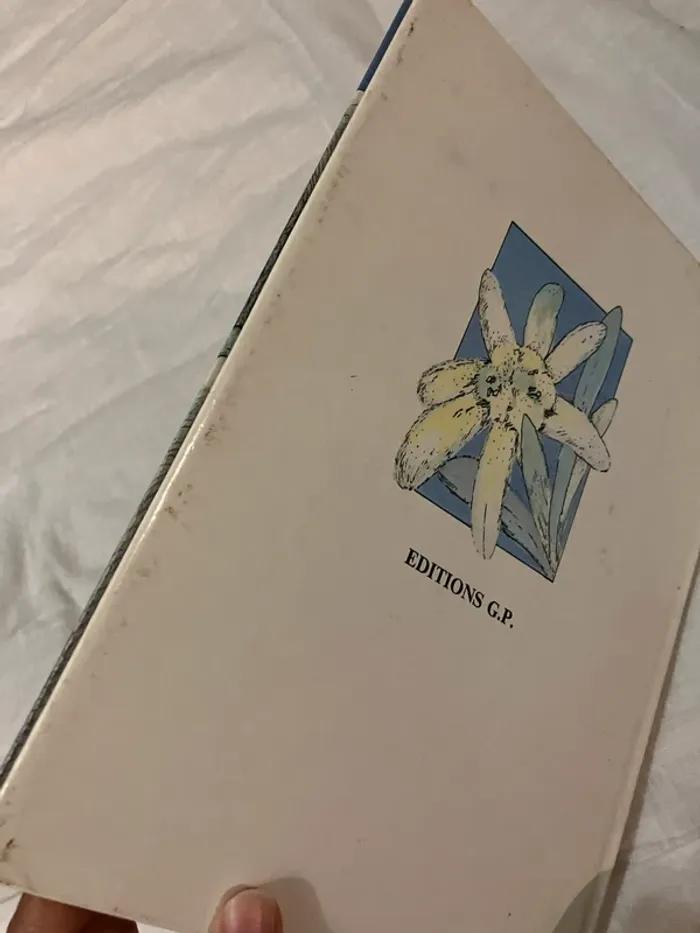 Livre enfant – Heidi et l’edelweiss - photo numéro 6