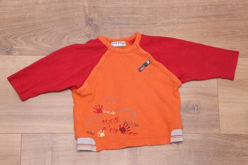 t-shirt bicolore
