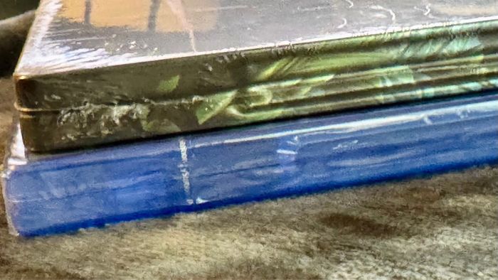 Lot biomutant PS5 et steelbook - photo numéro 4
