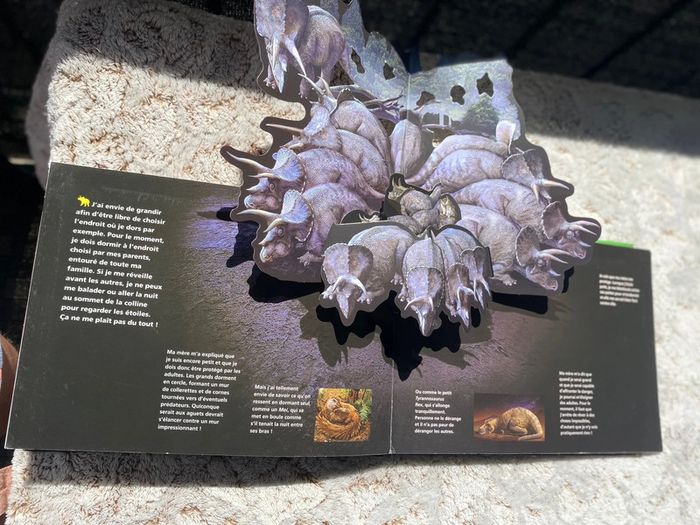 Livre pop up je suis un tricératops - photo numéro 6