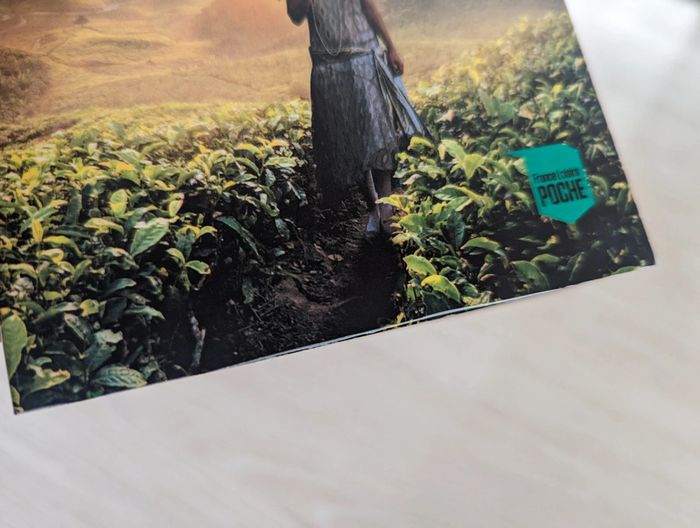 La mariée de ceylan - Dinah jefferies - photo numéro 3