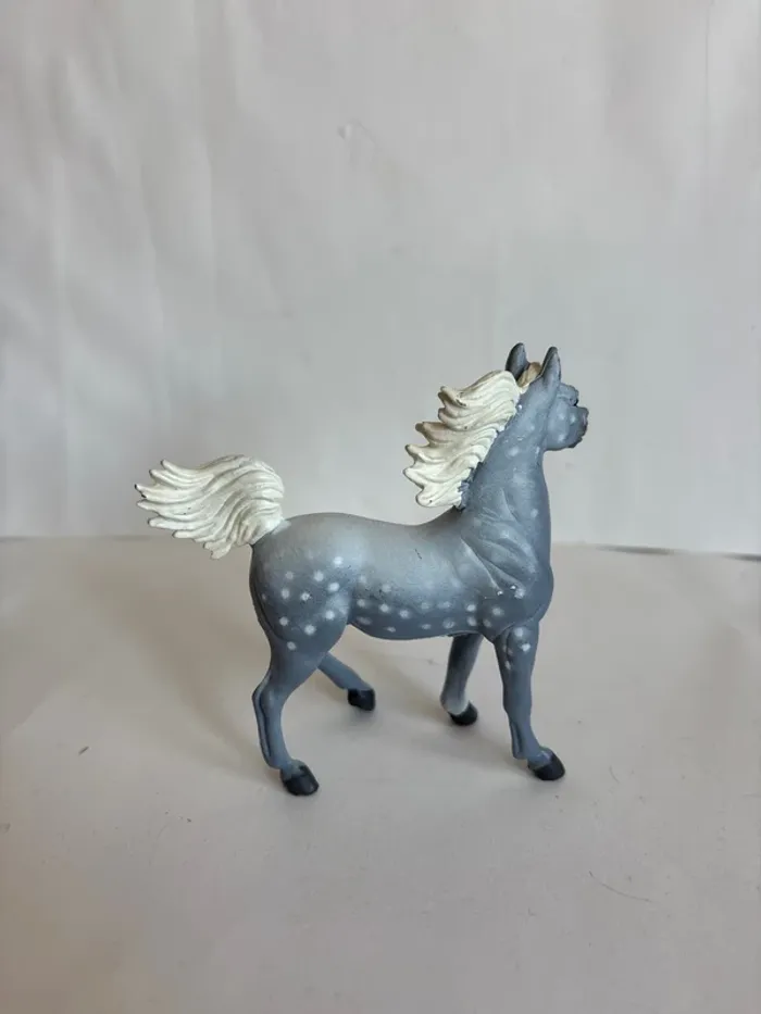 Cheval arabe safari ltd - photo numéro 2
