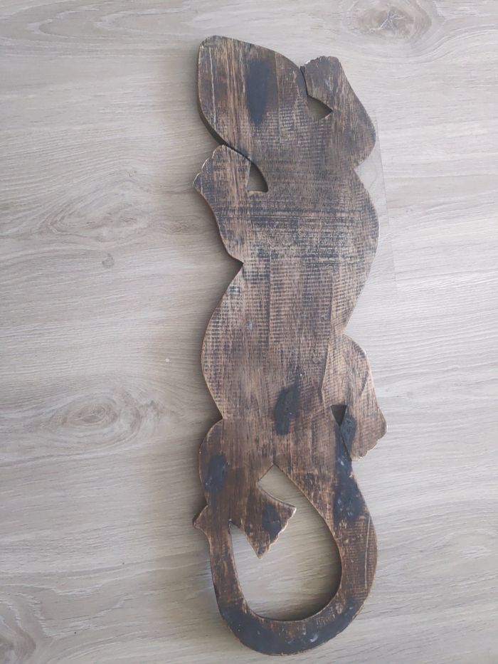 Salamandre - photo numéro 2