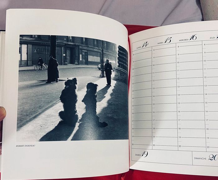 Agenda 1990 Les petits frères - photo numéro 5