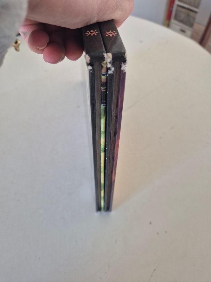 2 bd world of warcraft - photo numéro 2