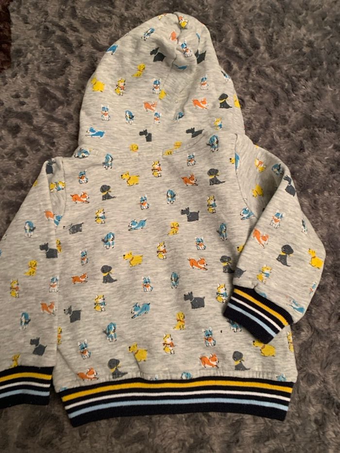 Veste - photo numéro 4