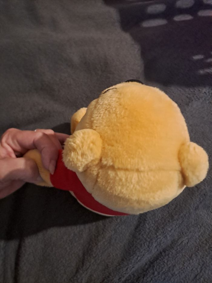 Peluche winnie - photo numéro 4