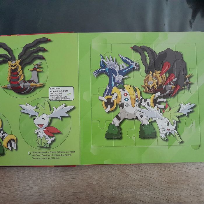 livre puzzle Pokémon Le monde de Giratina - photo numéro 3